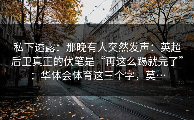 私下透露：那晚有人突然发声：英超后卫真正的伏笔是“再这么踢就完了”：华体会体育这三个字，莫…